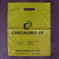 Plastique-Chatauret-TP.jpg